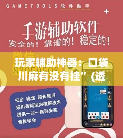 玩家辅助神器：口袋川麻有没有挂	”(透视)其实确实有挂