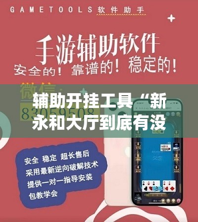 辅助开挂工具“新永和大厅到底有没有挂”开挂(透视)辅助神器