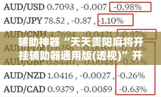 辅助神器“天天贵阳麻将开挂辅助器通用版(透视)”开挂辅助脚本+详细开挂安装教程