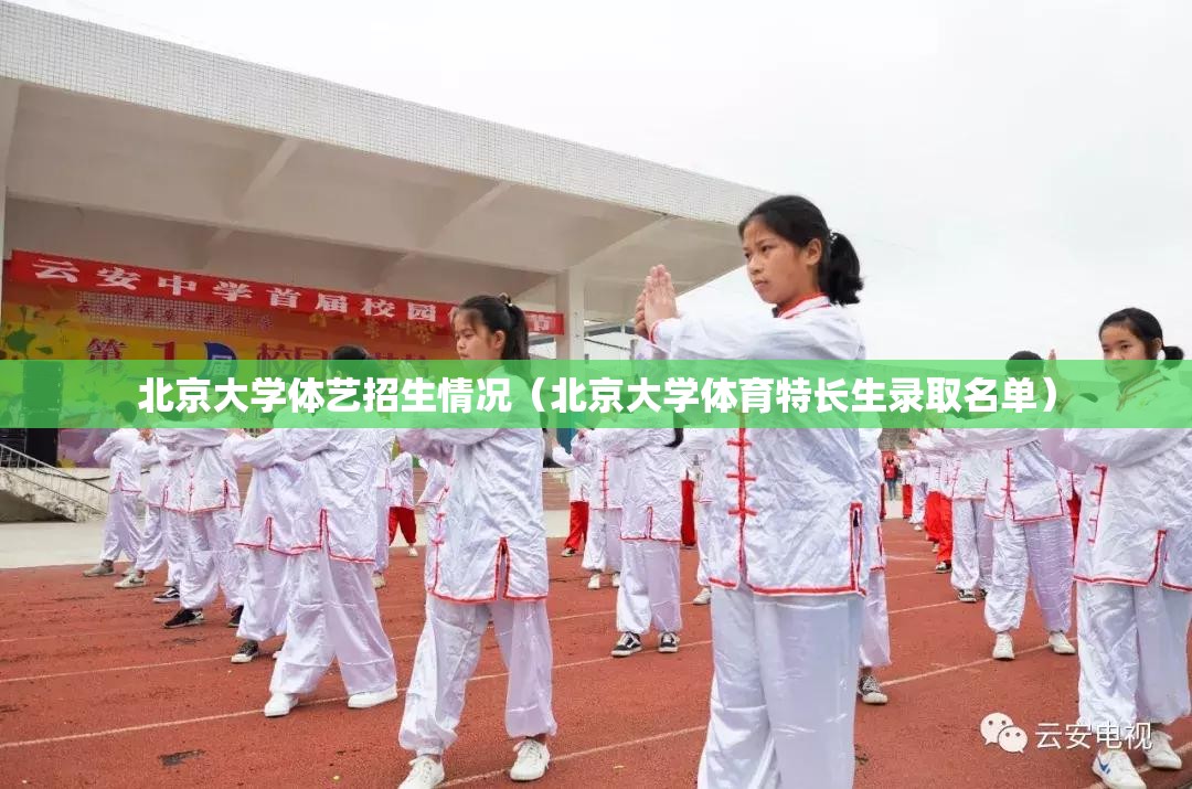 北京大学体艺招生情况（北京大学体育特长生录取名单）