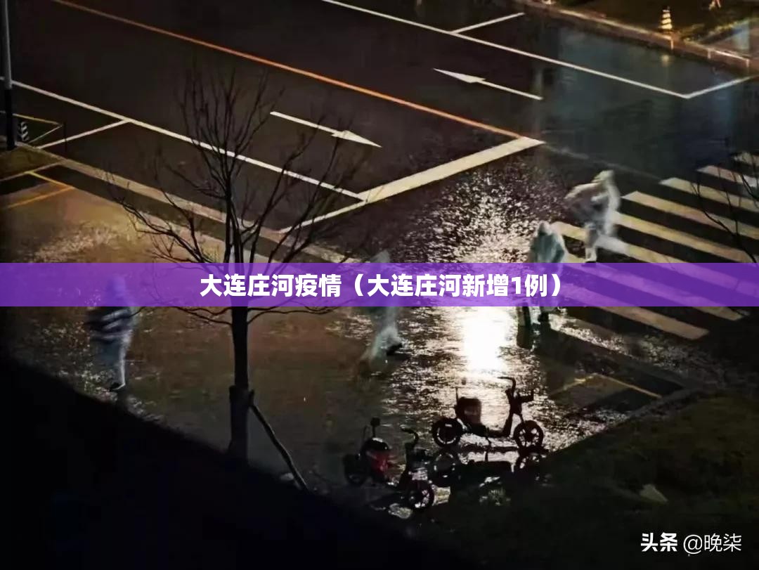 大连庄河疫情（大连庄河新增1例）