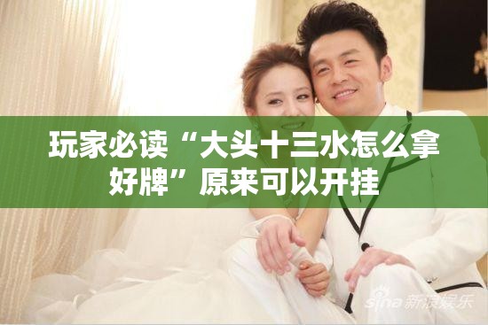 玩家必读“大头十三水怎么拿好牌”原来可以开挂
