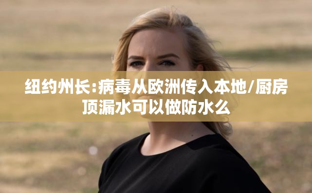 纽约州长:病毒从欧洲传入本地/厨房顶漏水可以做防水么