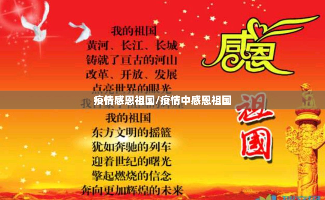 疫情感恩祖国/疫情中感恩祖国