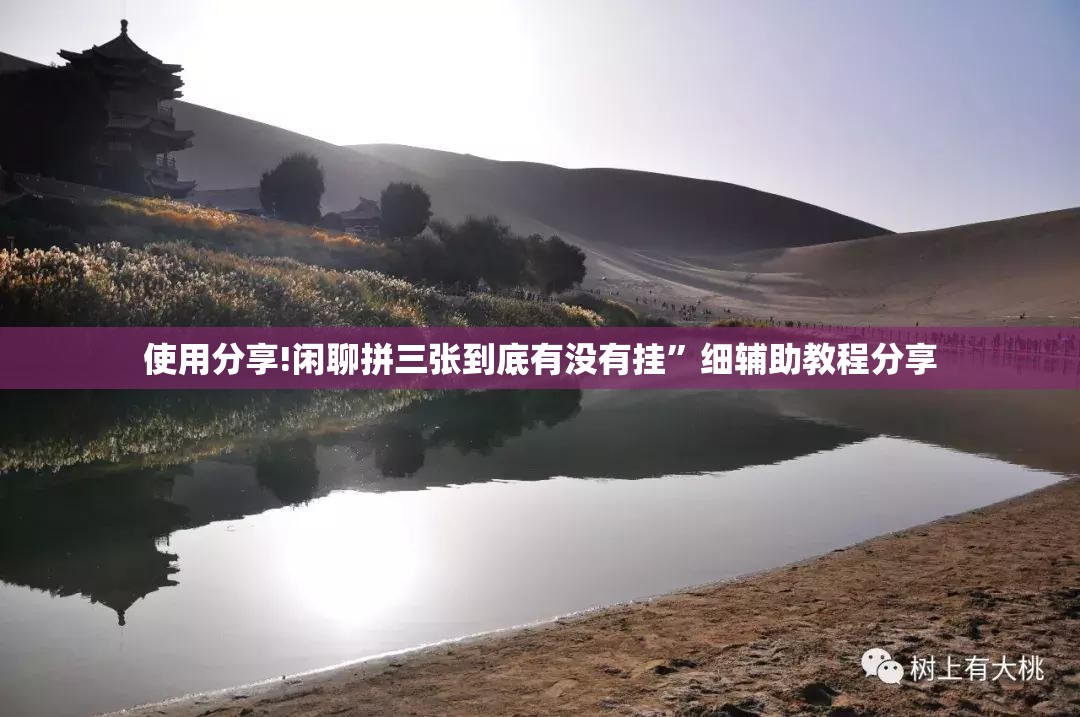 使用分享!闲聊拼三张到底有没有挂”细辅助教程分享