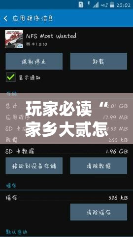 玩家必读“家乡大贰怎么开挂”科技辅助神器手机版