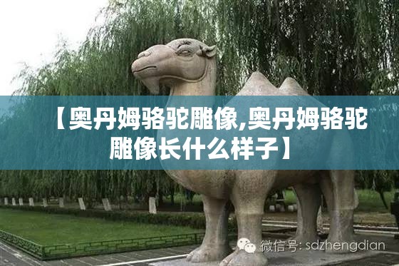【奥丹姆骆驼雕像,奥丹姆骆驼雕像长什么样子】