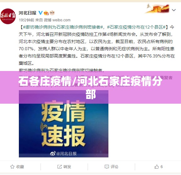 石各庄疫情/河北石家庄疫情分部