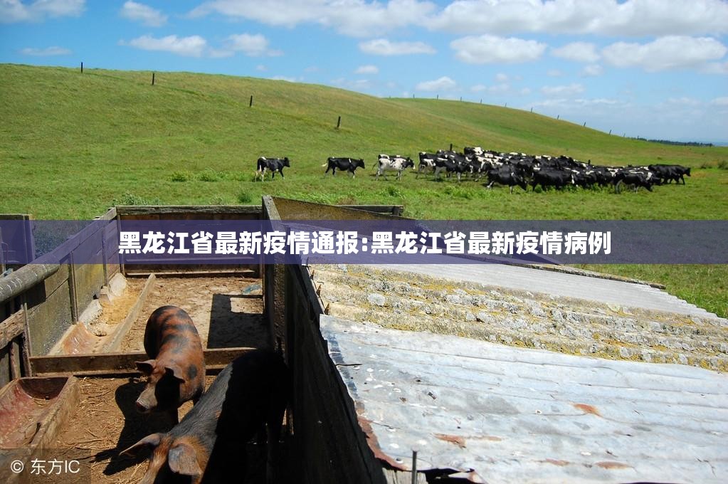 黑龙江省最新疫情通报:黑龙江省最新疫情病例