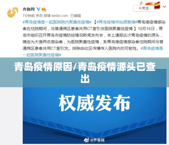 青岛疫情原因/青岛疫情源头已查出