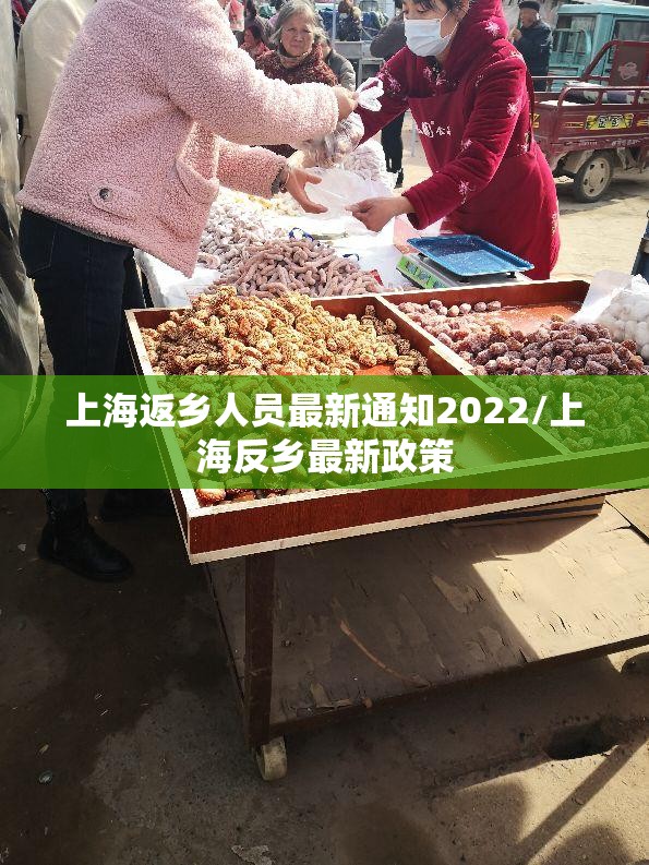 上海返乡人员最新通知2022/上海反乡最新政策