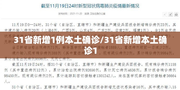 31省新增1例本土确诊/31省新增本土确诊1