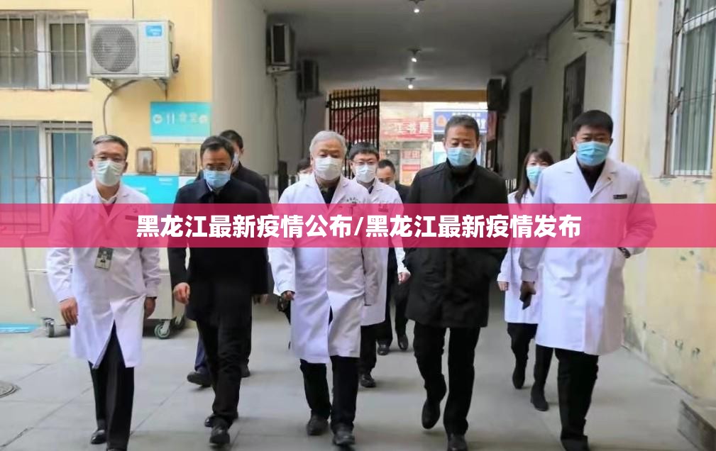 黑龙江最新疫情公布/黑龙江最新疫情发布