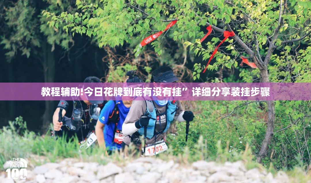 教程辅助!今日花牌到底有没有挂”详细分享装挂步骤
