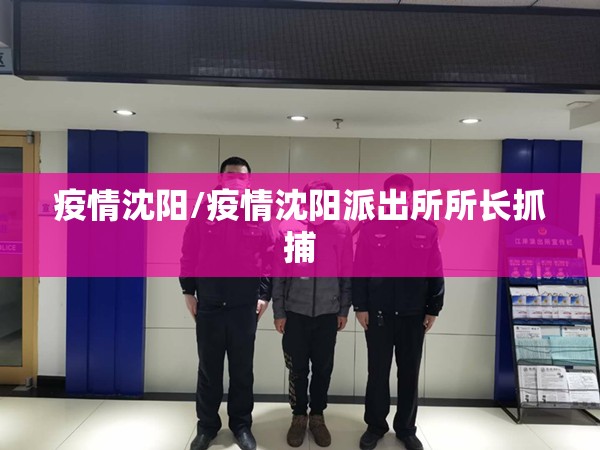 疫情沈阳/疫情沈阳派出所所长抓捕