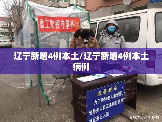辽宁新增4例本土/辽宁新增4例本土病例
