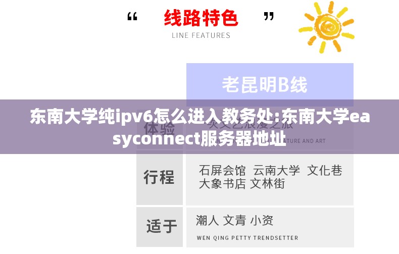 东南大学纯ipv6怎么进入教务处:东南大学easyconnect服务器地址