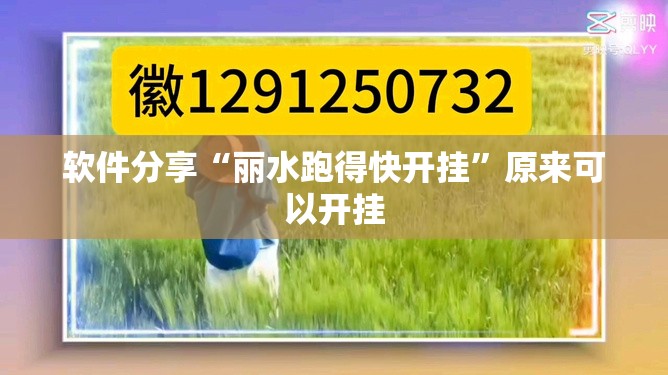 软件分享“丽水跑得快开挂”原来可以开挂