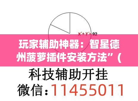 玩家辅助神器：智星德州菠萝插件安装方法”(透视)其实确实有挂