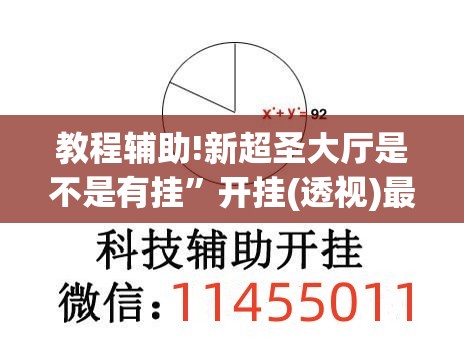 教程辅助!新超圣大厅是不是有挂”开挂(透视)最新辅助详细