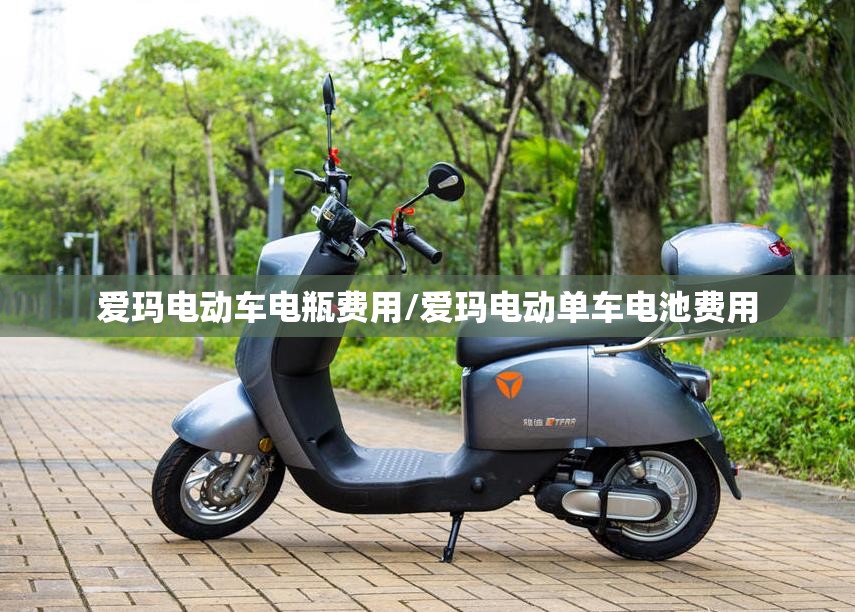 爱玛电动车电瓶费用/爱玛电动单车电池费用