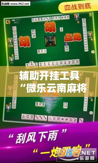 辅助开挂工具“微乐云南麻将怎么开挂”详细开挂教程