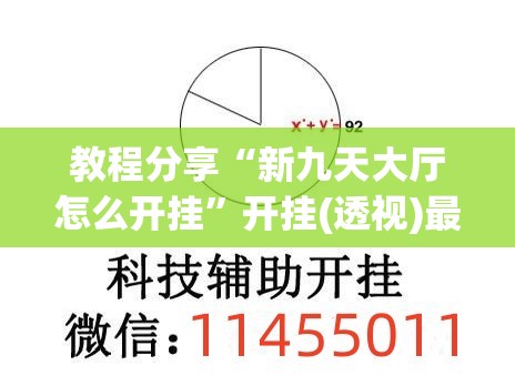 教程分享“新九天大厅怎么开挂”开挂(透视)最新辅助详细