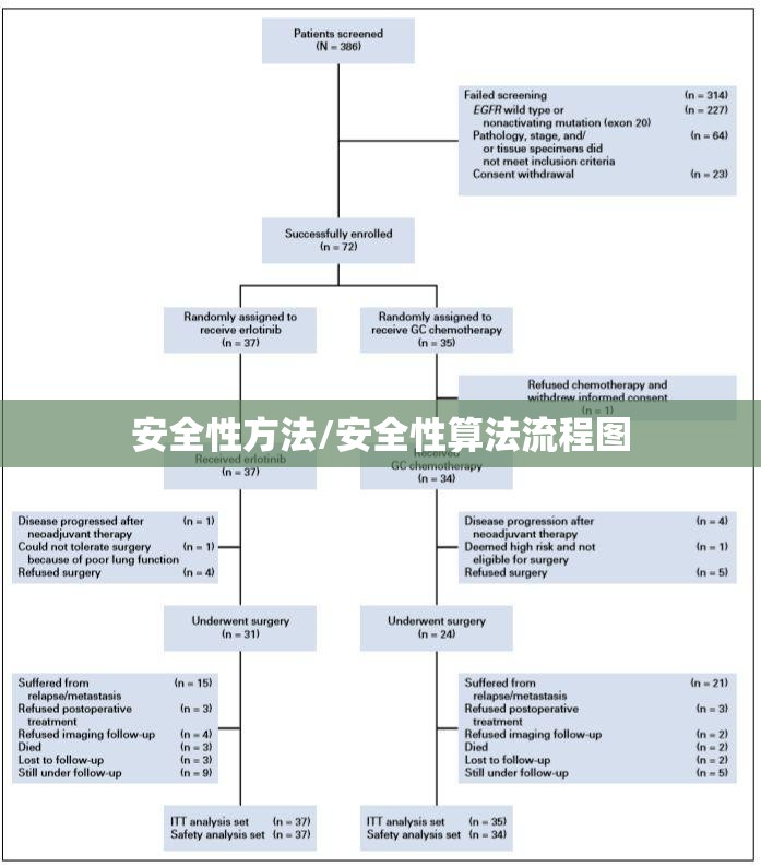 安全性方法/安全性算法流程图