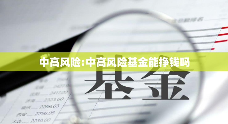 中高风险:中高风险基金能挣钱吗