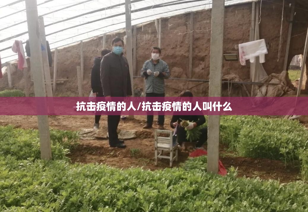 抗击疫情的人/抗击疫情的人叫什么