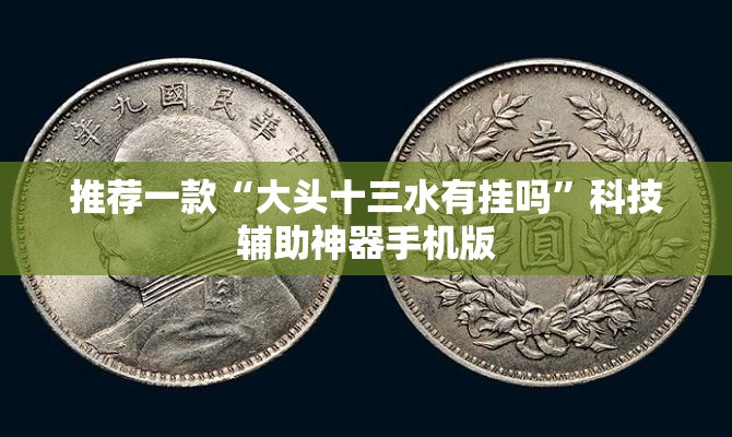 推荐一款“大头十三水有挂吗”科技辅助神器手机版