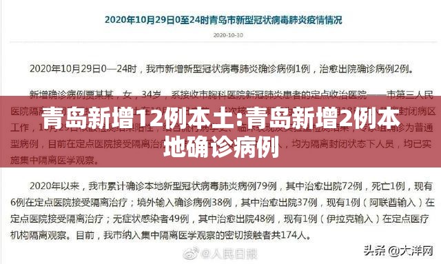 青岛新增12例本土:青岛新增2例本地确诊病例