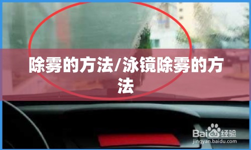 除雾的方法/泳镜除雾的方法