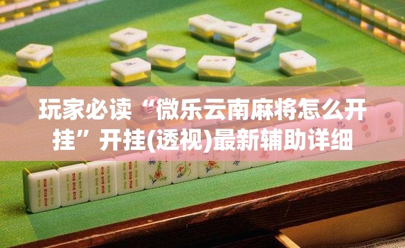 玩家必读“微乐云南麻将怎么开挂”开挂(透视)最新辅助详细