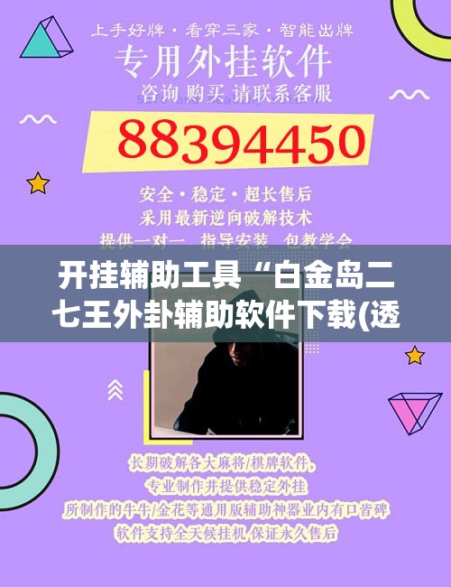 开挂辅助工具“白金岛二七王外卦辅助软件下载(透视)	”开挂辅助脚本+详细开挂安装教程