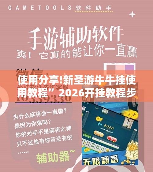 使用分享!新圣游牛牛挂使用教程”2026开挂教程步骤