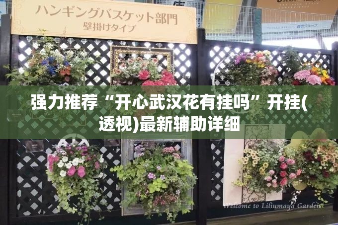 强力推荐“开心武汉花有挂吗”开挂(透视)最新辅助详细