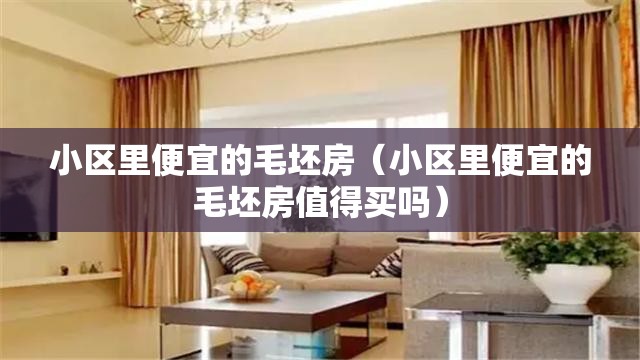 小区里便宜的毛坯房（小区里便宜的毛坯房值得买吗）