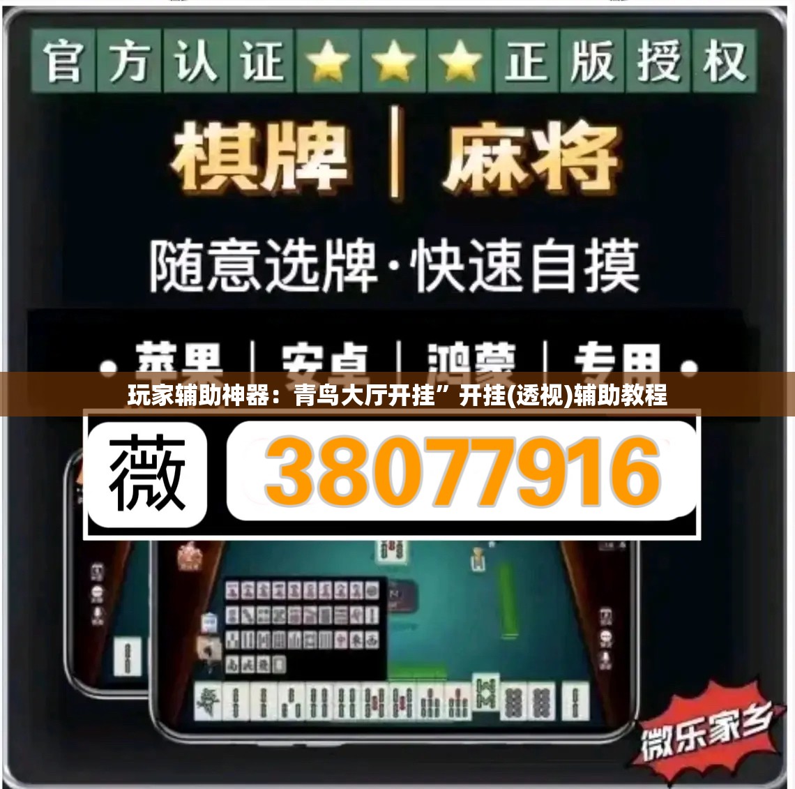玩家辅助神器：青鸟大厅开挂”开挂(透视)辅助教程