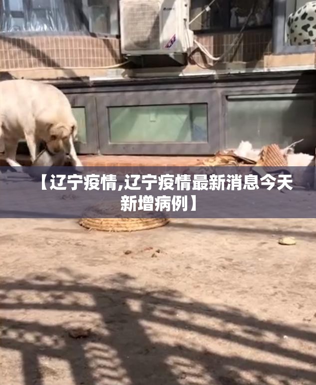 【辽宁疫情,辽宁疫情最新消息今天新增病例】