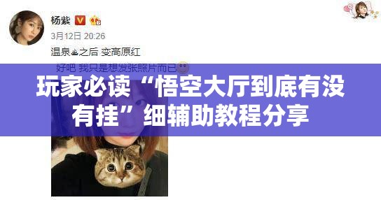 玩家必读“悟空大厅到底有没有挂	”细辅助教程分享