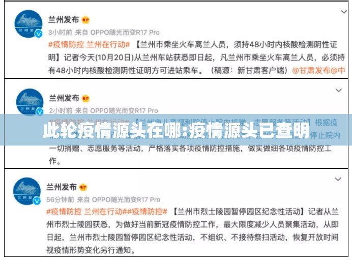 此轮疫情源头在哪:疫情源头已查明