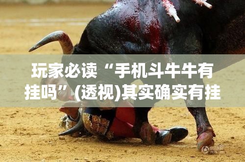 玩家必读“手机斗牛牛有挂吗”(透视)其实确实有挂