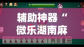 辅助神器“微乐湖南麻将小程序必赢神器免费”其实确实有挂