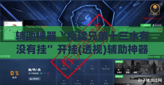 辅助神器“福建兄弟十三水有没有挂”开挂(透视)辅助神器