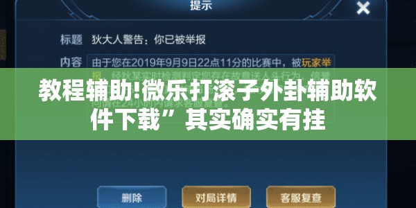 教程辅助!微乐打滚子外卦辅助软件下载”其实确实有挂