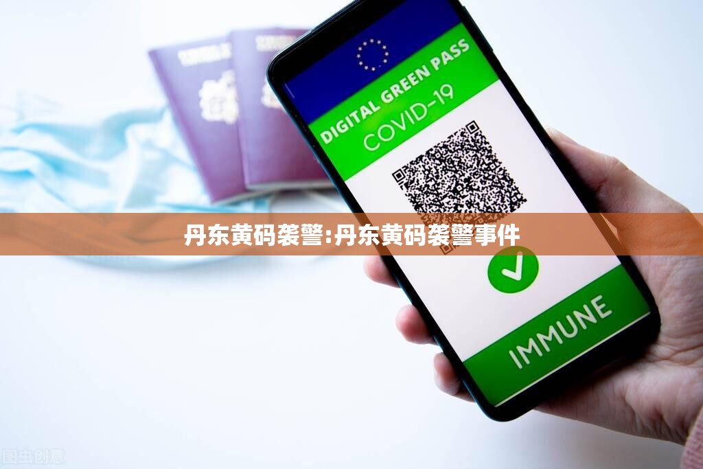 丹东黄码袭警:丹东黄码袭警事件