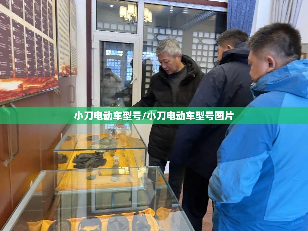 小刀电动车型号/小刀电动车型号图片