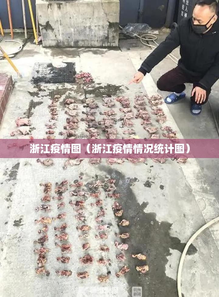 浙江疫情图（浙江疫情情况统计图）