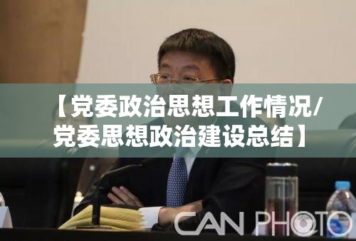 【党委政治思想工作情况/党委思想政治建设总结】